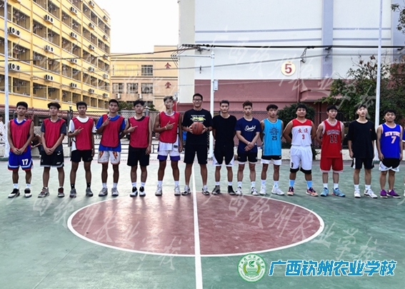 以球会友，切磋技艺