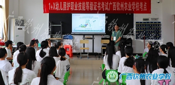 弘扬传统文化 情系浓情端午——团委组织开展纪念端午节主题活动