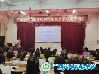 坚定理想信念，提升工作能力——校团委组织开展2022年秋季学期团干培训