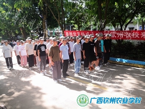 军训系列报道七：不畏浮云遮望眼，攻坚克难——钦农好儿郎！