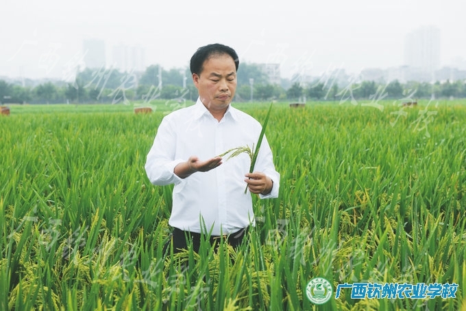 矢志不移，实至名归——广西钦州农校优秀校友何懿荣获“广西优秀民营企业家”称号