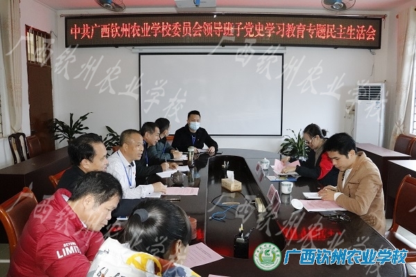 我校党委召开领导班子党史学习教育专题民主生活会
