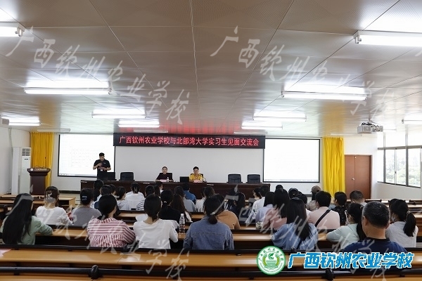 携手同行，共筑未来——记我校与北部湾大学实习生见面交流会