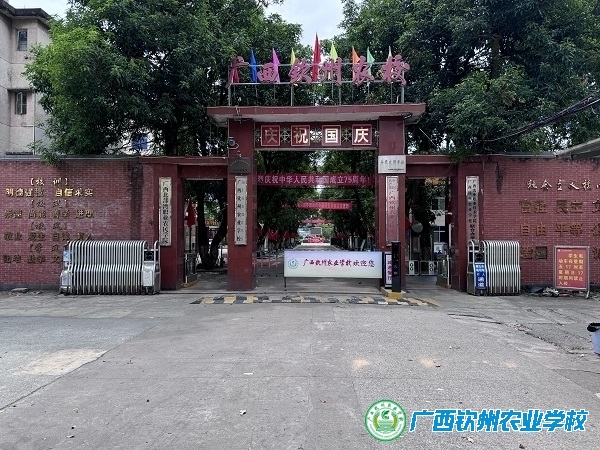盛装迎国庆