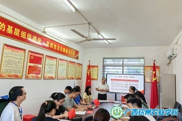 “主题党课”明确使命，“政治生日”重温初心 ——第二支部开展“政治生日+党课”主题活动
