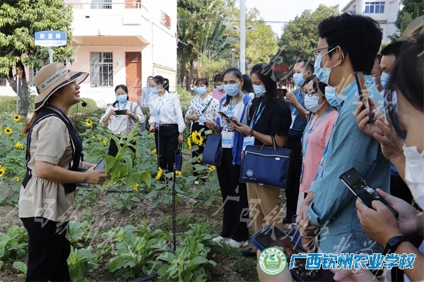 观摩中学习，交流中成长——北部湾大学国培班到我校参观学习