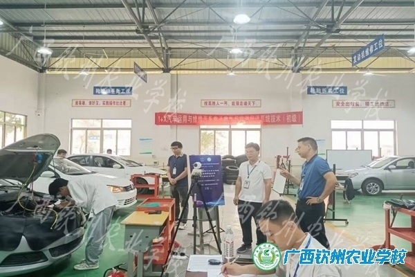 聚力1+X证书考核，促进学生新发展 ——我校2022年“1+X”汽车运用与维修汽车电子电气与空调舒适系统 职业技能等级证书考试顺利完成