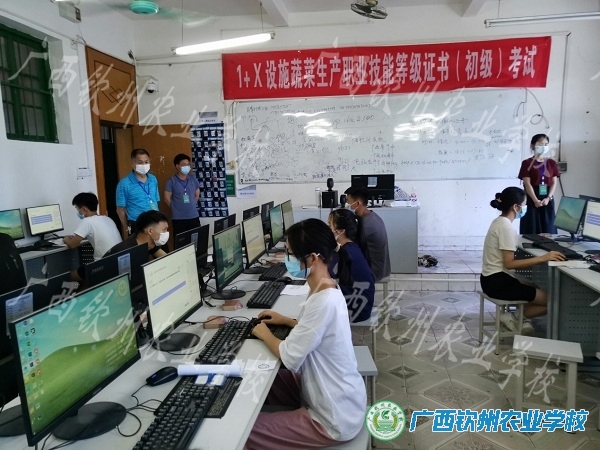 设施蔬菜生产证  钦农考点首开考 ——2022年1+X设施蔬菜生产职业技能等级证书考试，广西钦州农业学校考点首次开考。