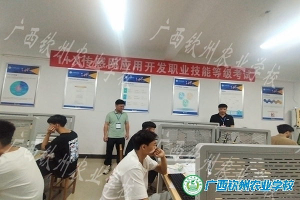 聚力课证融通，提升学生技能—— 我校1+X传感网应用开发职业技能等级证书考试顺利完成
