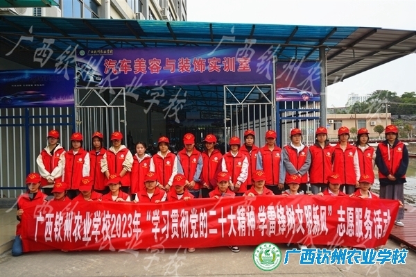 学习雷锋好榜样，青年志愿者在行动