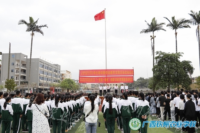 开展劳动教育实践，培养中小学生劳动精神——广西钦州农业学校开展劳动教育记实