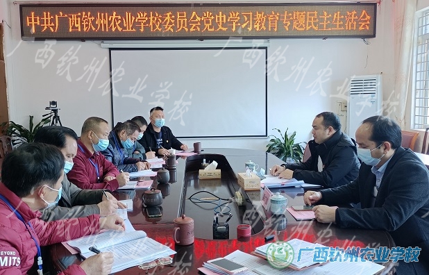 我校党委召开党史学习教育专题民主生活会