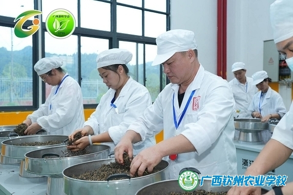 以赛促教 一次竞赛 一段成长 ——我校杨灵灵老师将代表广西参加在福建武夷山举行的第六届全国茶业职业技能竞赛总决赛