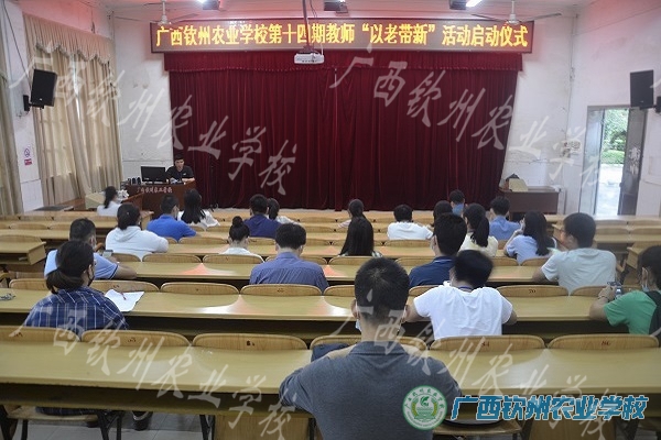 师徒结对  以老带新共成长--记我校举行第十四期教师“以老带新”活动启动仪式