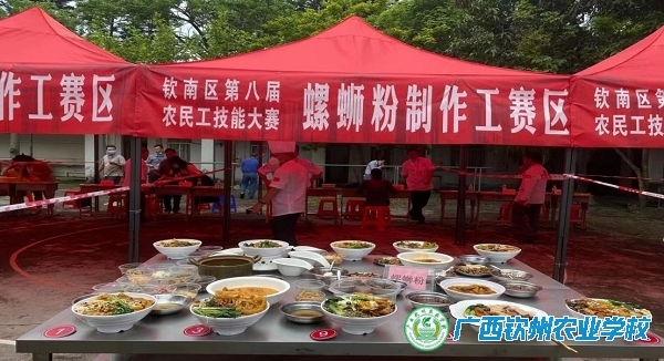 钦州市钦南区第八届农民工技能大赛在我校举行