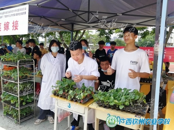 传统专业展实力  新兴专业显创意——现代农业学部第20届学生技能竞赛掠影