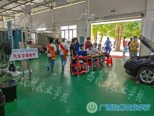 技能比拼促提升