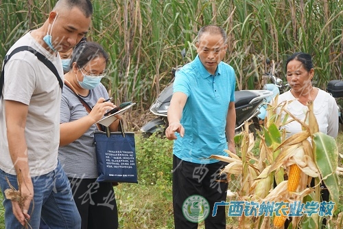跟踪回访  技术带到田间地头 ——我校开展水库移民培训学员跟踪回访服务