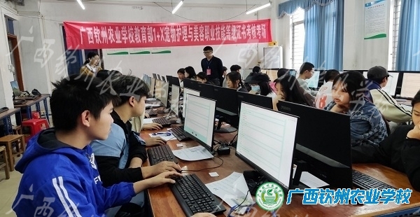 我校1+X宠物护理与美容职业技能等级证书考核工作顺利完成