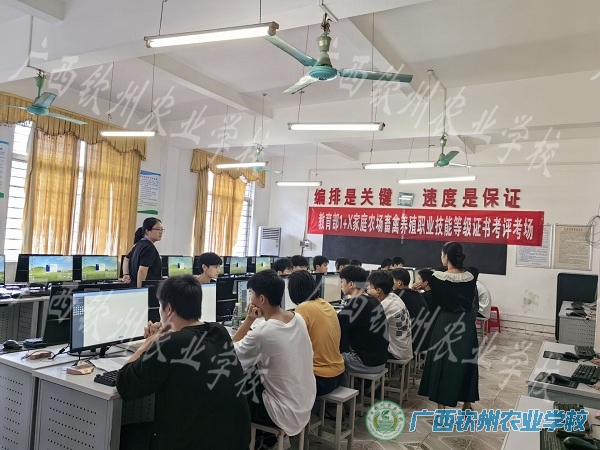 我校1+X家庭农场畜禽养殖职业技能等级证书考核