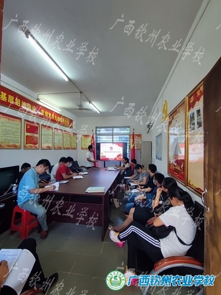 明确党的历史性成就与变革，把握未来 ——我校第二党支部组织开展党课活动