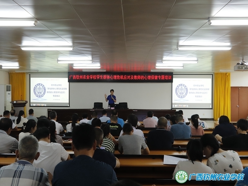 教师心理健康教育—— 助力学生心理健康的守护者