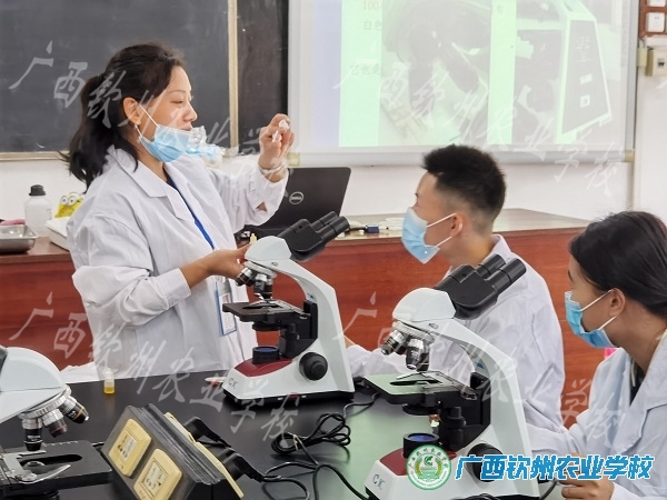 现代农业学部“展课堂风采、促教师成长” 公开课活动
