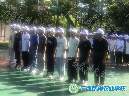 【军训系列报道四】学军人风采，强自身素质，扬钦农本色——记2022级新生军训