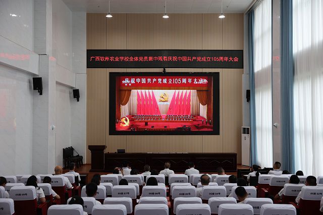 我校组织集中收看庆祝中国共产党成立105周年大会直播