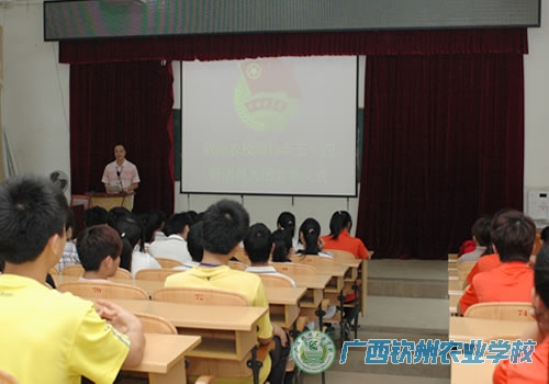 ������ʽ�᳡