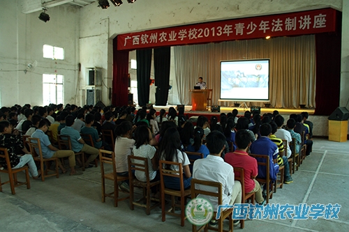 ѧ�������������ƽ�����