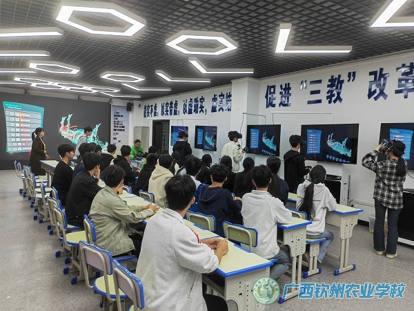 虚实结合，职教高考对口本科升学的新引擎