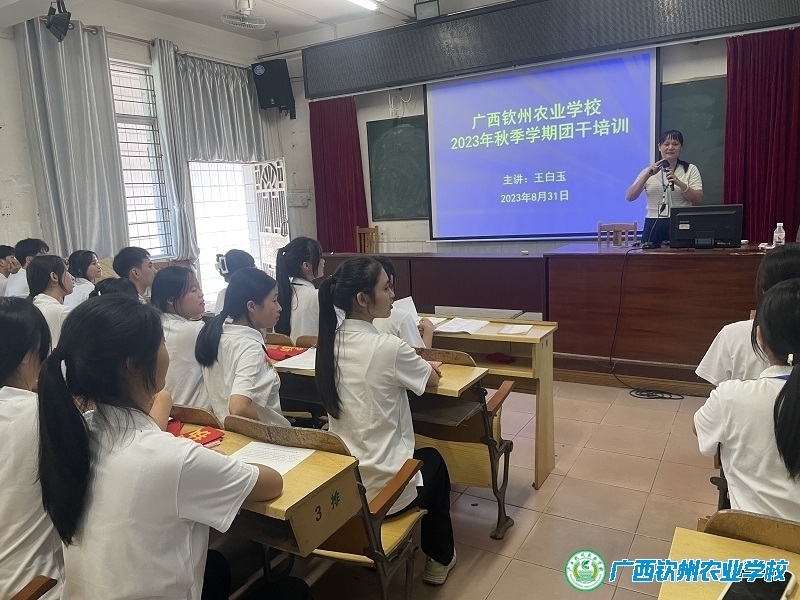 团委开展2023年秋季学期团干培训