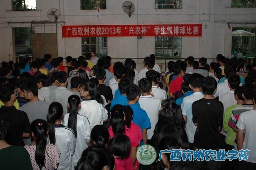 我校举行2013年“兴农杯”学生气排球比赛