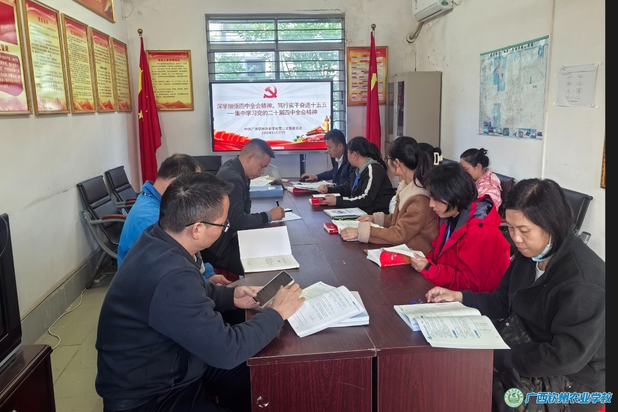 深学细悟四中全会精神，笃行实干奋进十五五 ---集中学习党的二十届四中全会精神