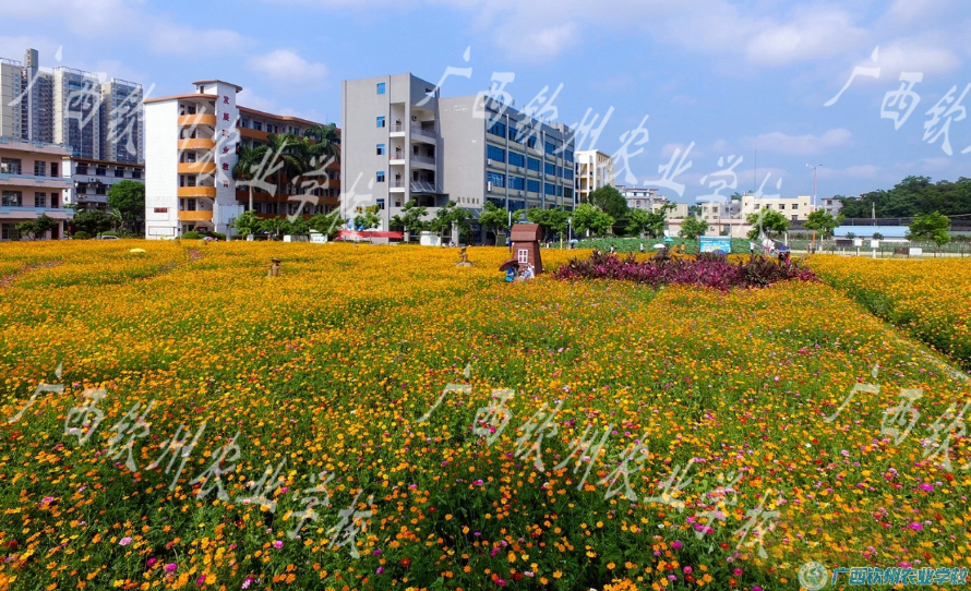 花海